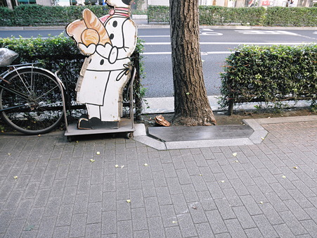 2011年09月12日_P9120779