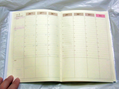 2012diary03