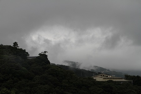IMG_8342