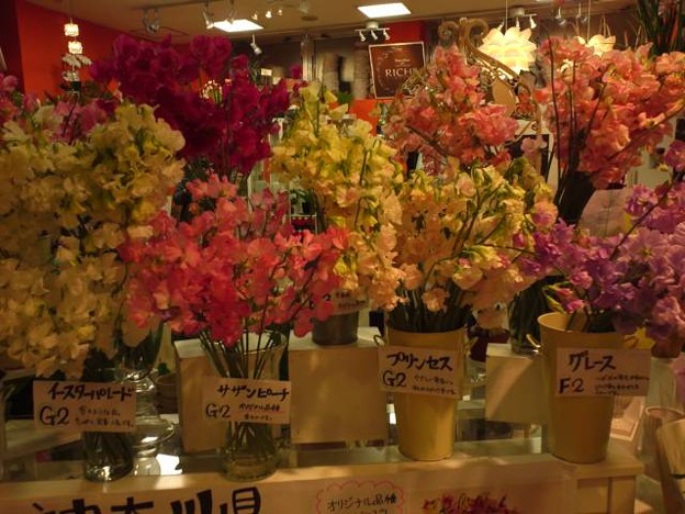 相模原駅ビルのお花屋さんで 写真共有サイト フォト蔵