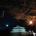 2012年4月7日　駿府城巽櫓 夜桜