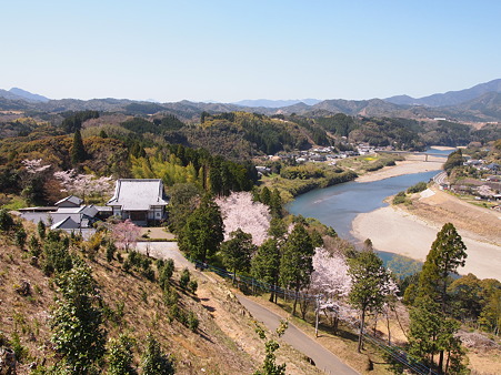2012 桜 延岡