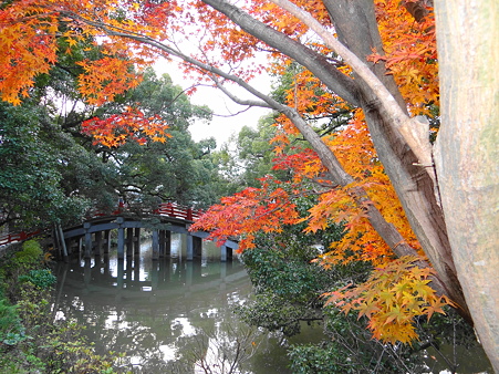 太宰府:太鼓橋と紅葉
