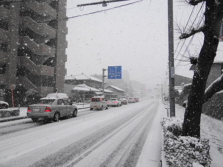 雪が舞う朝の出勤風景