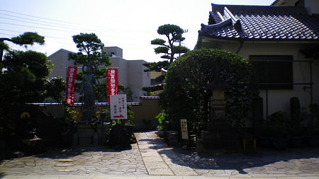 IMGP5526