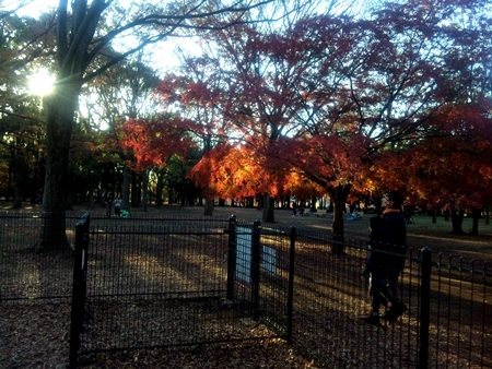 111204_150713