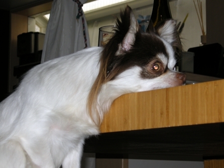 DSCN0372