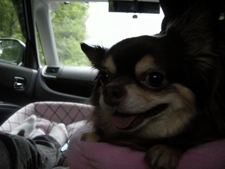 DSCN0676