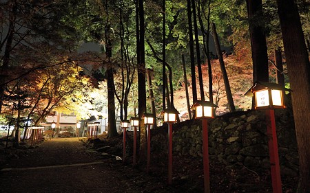 日吉大社33