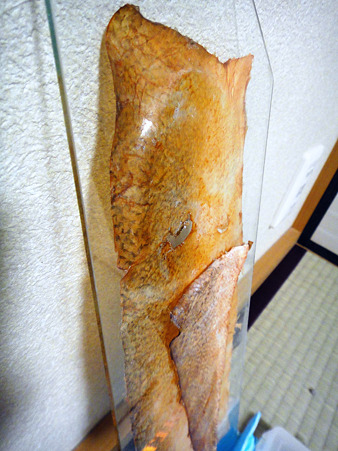 DSC03101