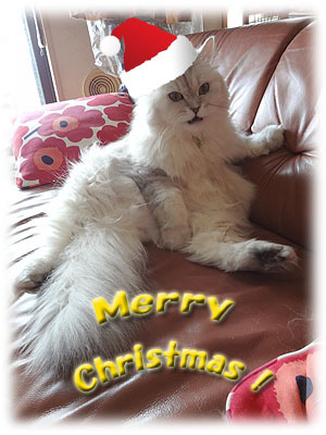 santa_yuzu_2011