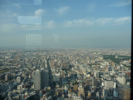 111101-ミッドランド展望台 (23)