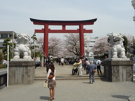 120413-八幡さま (65)