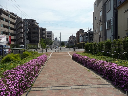 110622-東横廃線 東白楽→反町 (20)