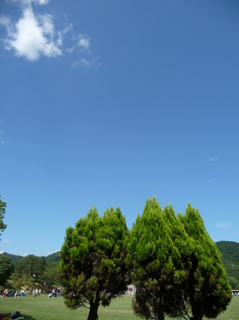 110827 トタ播磨 (11)