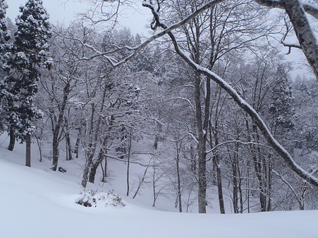 2012040105