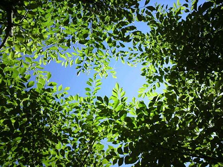 空…2011/7/10