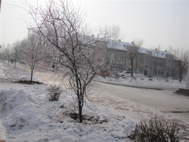 龍外学院冬景色