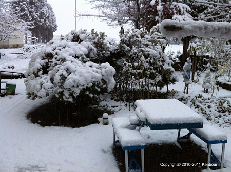 Blog_20121121_冬将軍到来