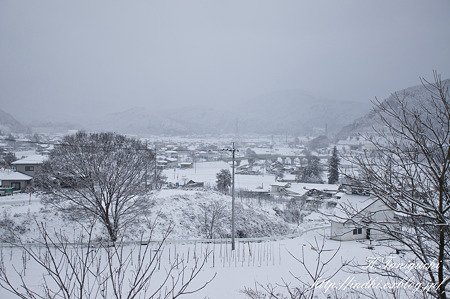 雪景色 NEX-5 E30mm F3.5 Macro