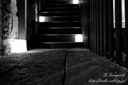 路 鏡の中の世界 NEX-5 SEL30M35