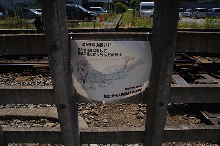 IMGP1248