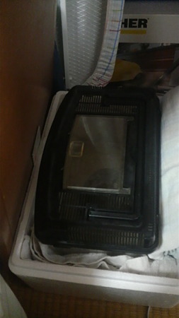 2012032406410000