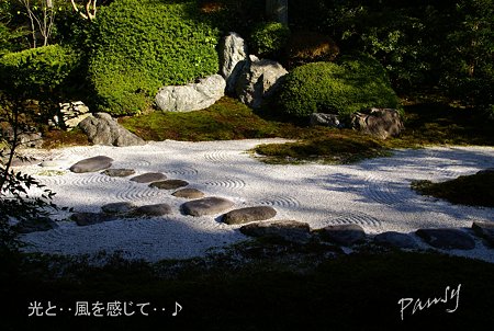 枯山水・・喜泉庵にて・・11