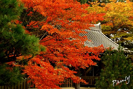鐘楼・・随心院・・8