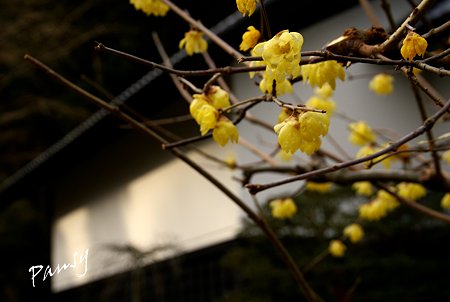 東慶寺・・2