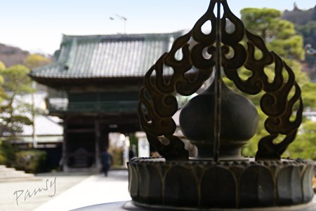 紅い梅の咲く寺院・・7