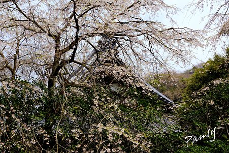 安国論寺・・8