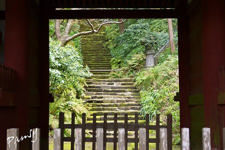妙法寺・・3