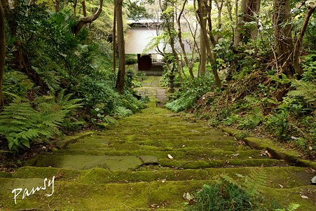 妙法寺・・5