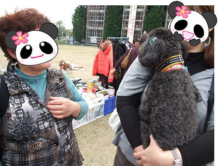 プリンに会いに来てくれたよ
