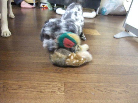 えい!
