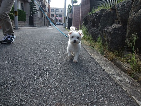 まるんこ、可愛すぎるぞ!!