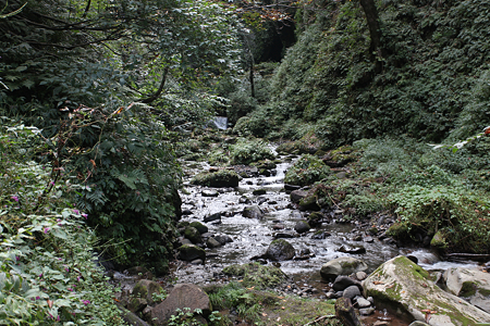 シワガラの滝へのルート - 4