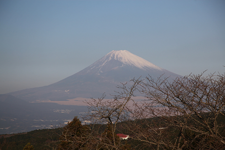 山中城・西ノ丸  - 029
