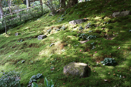 寂光院 - 04