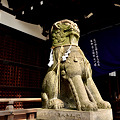 Photos: 比売許曾神社社殿の狛犬吽形