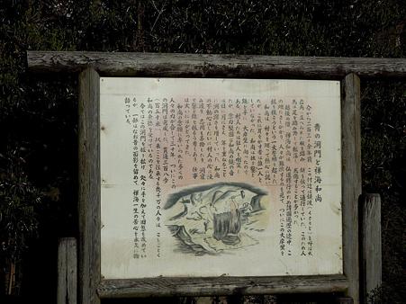 DSCN1735