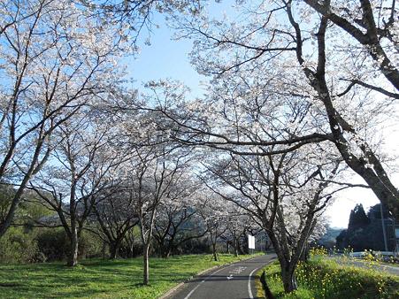 DSCN1745