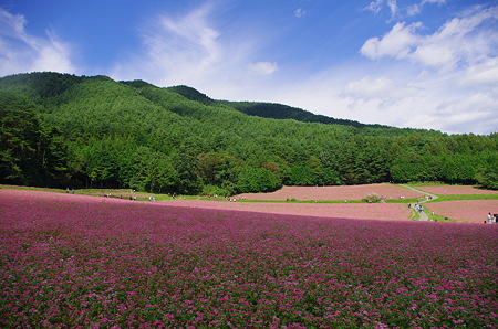 IMGP3568