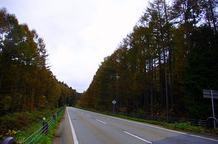 IMGP4162