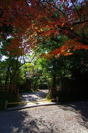 IMGP7017