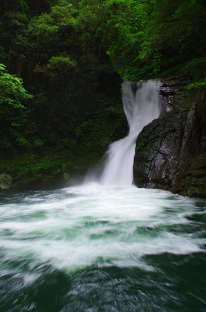 IMGP2193