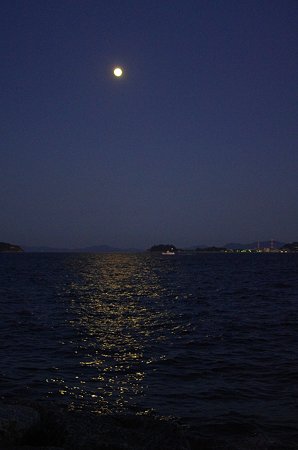 IMGP3111