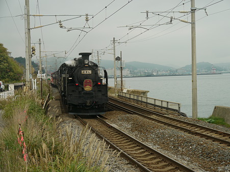 P1100559
