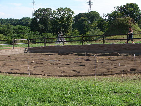 DSC05178